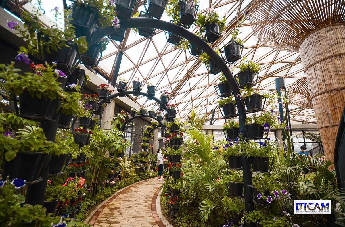 Flower Garden In Metro Manila Best Flower Site